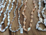 Seashell necklaces