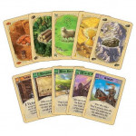 Settlers of Catan Board Game + Catan 5 to 6 Players Extension