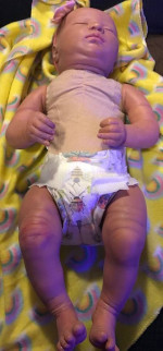 Cheap reborn babies for sale in Albany ny pickup only