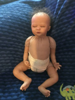 12 reborn babies for sale in Albany NY pickup only