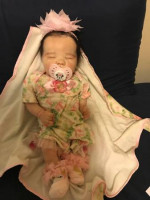 12 reborn babies for sale in Albany NY pickup only