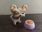 Littlest Pet Shop Shi Tzu dog with hair #006