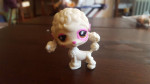 Littlest Pet Shop (LPS) poodle # 551