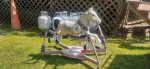 Radio Flyer Spring Riding Horse
