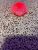 light up pig squish toy