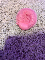 light up pig squish toy