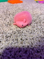 light up pig squish toy