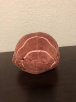 Disney's Raya and the Last Dragon Tuk Tuk plush stuffed animal
