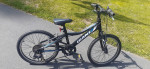 Giant Revel bicycle