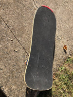 Skate Board