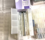 Lot: Beads and findings