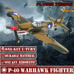 Curtiss P-40 Warhawk RC Airplane
