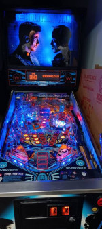 Demolition Man pinball machine