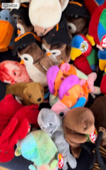 Beanie Babies