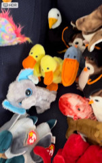 Beanie Babies