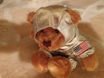 NASA BEAR TOY ST -S114