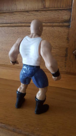 Wrestling Figure 1999 WWE WWF: AUSTIN