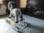 Adorable Riding/Rocking Donkey
