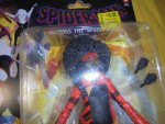 Marvel Legends SPIDER-MAN: Across the Spider-Verse 6" JESSICA DREW! MI