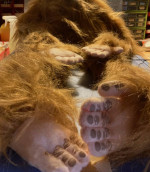 Like New 28" Silly Monkey, Full Body, Ventriloquist Style Puppet