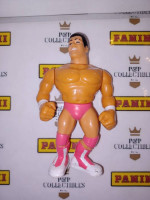 WWE Hasbro Action Figures
