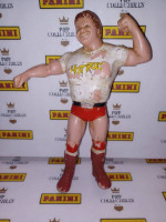 WWF LJN Action Figures