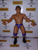 WWF LJN Action Figures