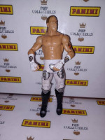 WWE Action Figures
