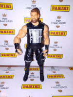 WWE Action Figures