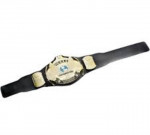 WWE Winged Eagle Title Wrestling Championship Belt