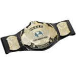 WWE Winged Eagle Title Wrestling Championship Belt