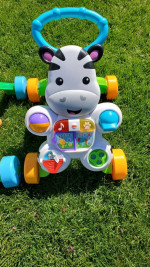Twin fisher price walkers