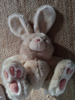 Stuffed animals