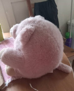 Stuffed animals