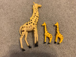 Ryan’s World, giraffe family