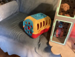 Toy Doll Veterinary Clinic