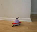 Purple Chuck Angry Birds Space Plush Stuffed Animal (WITH SOUND)