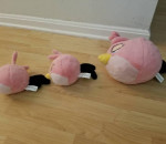 Angry Birds Pink Stella Plush Stuffed Animal Toys (3 WITH SOUND)