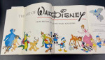 Mickey Mouse to the Magic Kingdoms!!