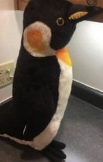 Beautiful Two Foot Tall Plush Penguin