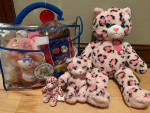 Build A Bear set