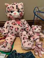 Build A Bear set