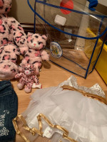 Build A Bear set