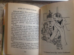 Great Illustrated Classics Books