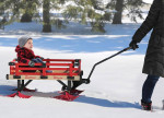 Sleigh Wagon with Red Wooden Racks
