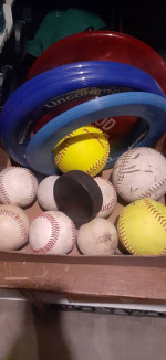 Assortment of sports balls and frisbees