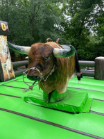 Mechanical Bull