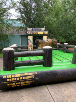 Mechanical Bull