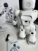 Ruko 1088 Smart Robot, Programmable Interactive RC Robot with Voice Co