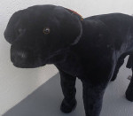 Melissa & Doug XL Plush Black Lab LIFE-SIZE New W Tags Over 2ft Tall
